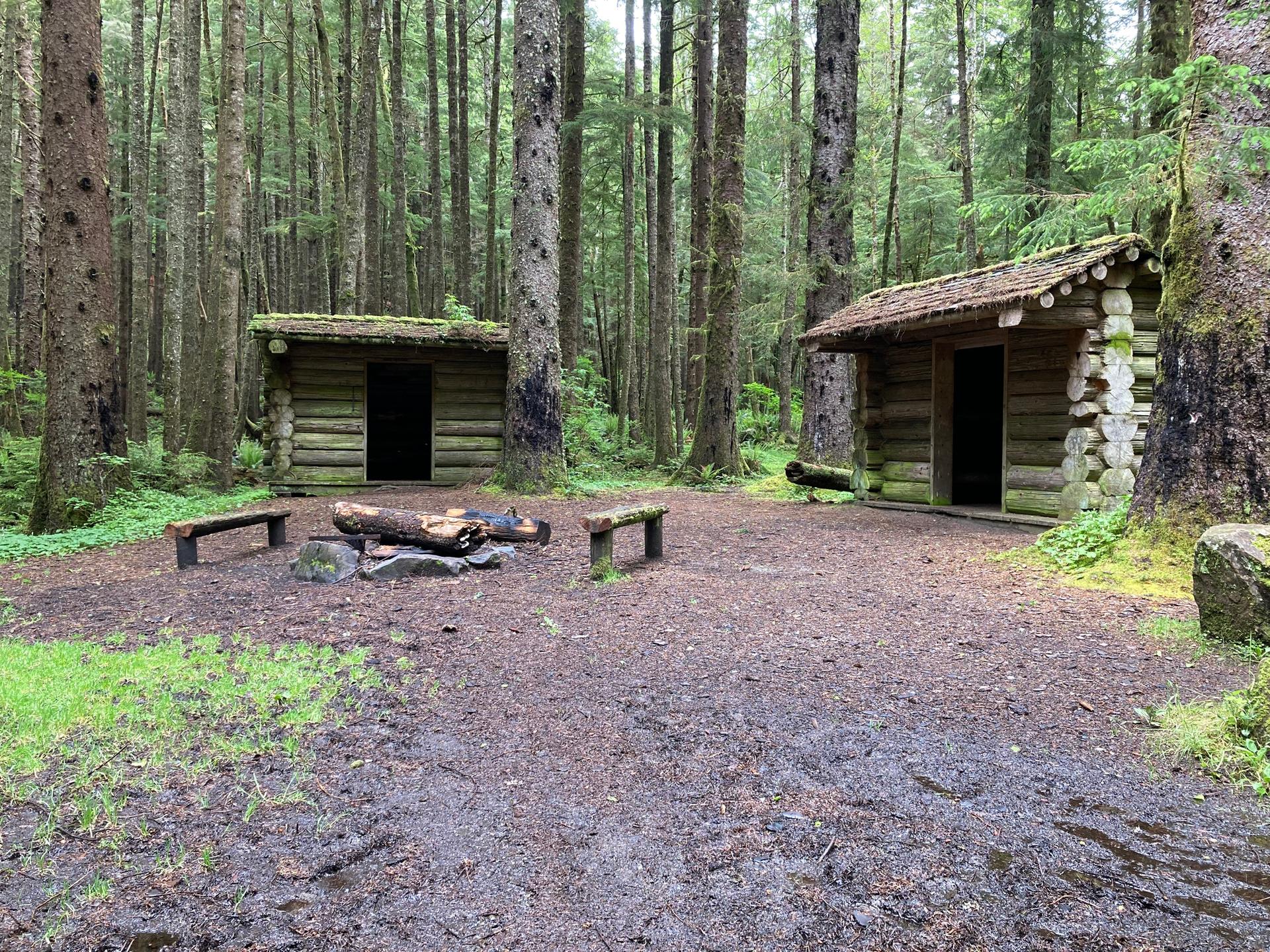 Two rustic log shelters and a fire pit in a dense, green forest.
