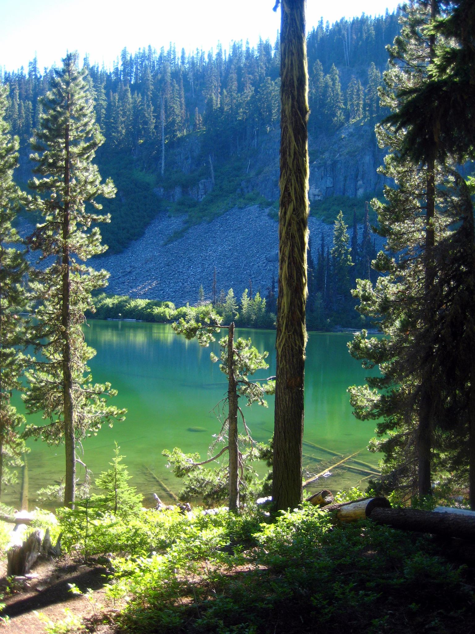 Bright green lake visible through sun-dappled trees and a rocky slope.