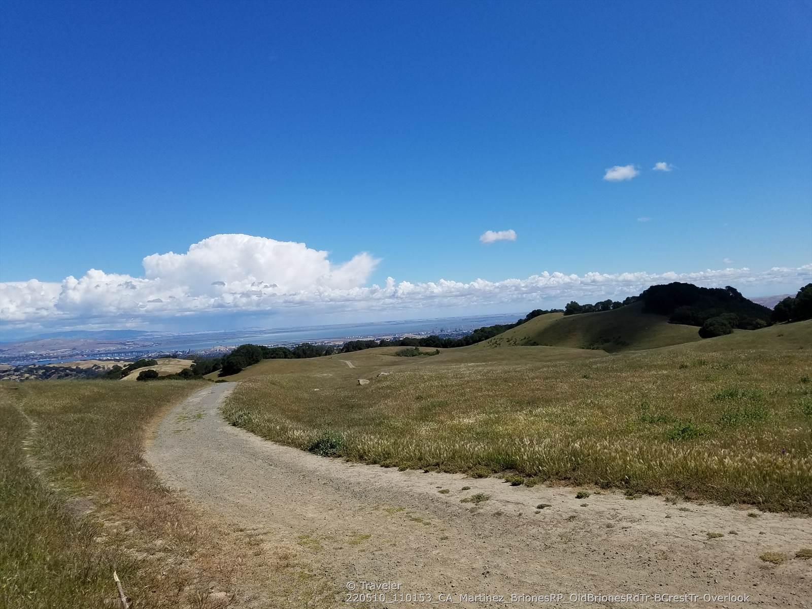 A winding dirt path through sunlit grassy hills under a blue sky.