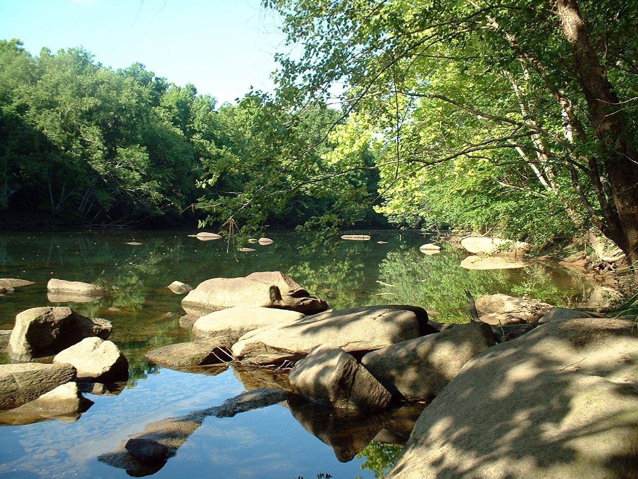 Rocky river flowing through a lush green forest on a bright day.
