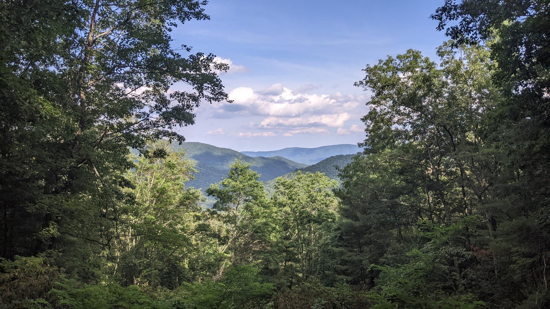 Distant blue mountains under a cloudy sky, framed by green forest.