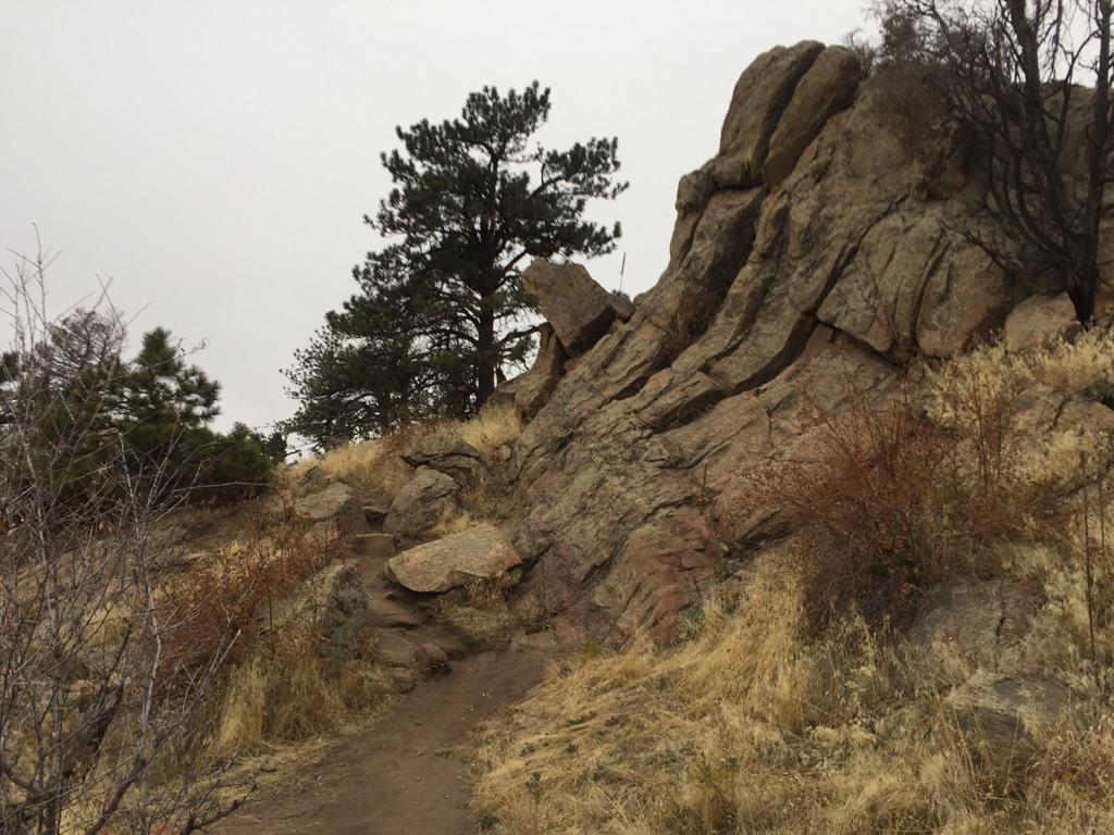 A dirt path winds up a rocky, dry hillside with pine trees.