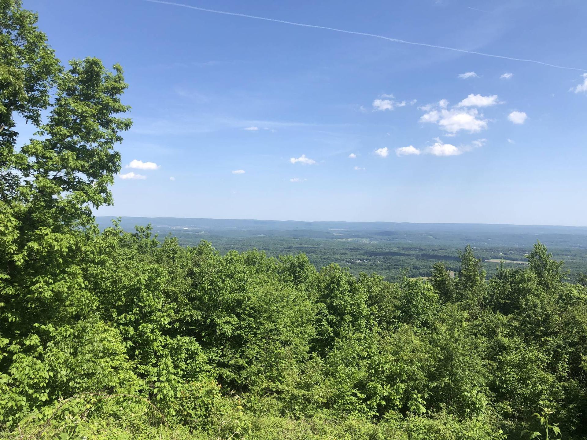 A vast green forest stretches under a bright blue sky with clouds.
