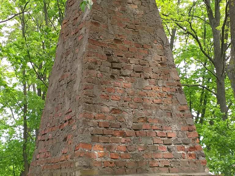 Mikalojaus Daukšos ąžuolas Radtouren und Radwege komoot