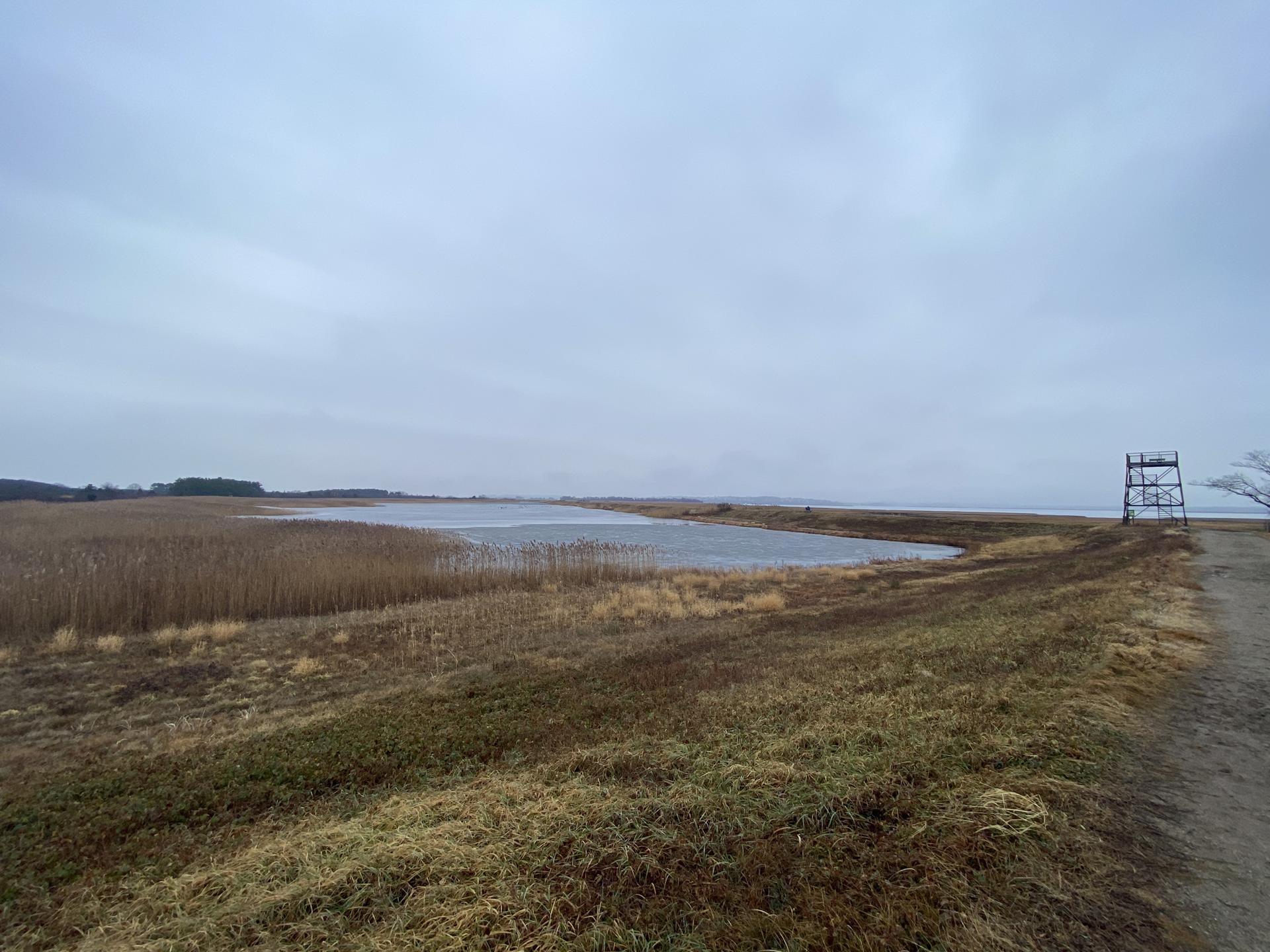 Overcast sky above a marsh with a water body and a tall wooden structure.