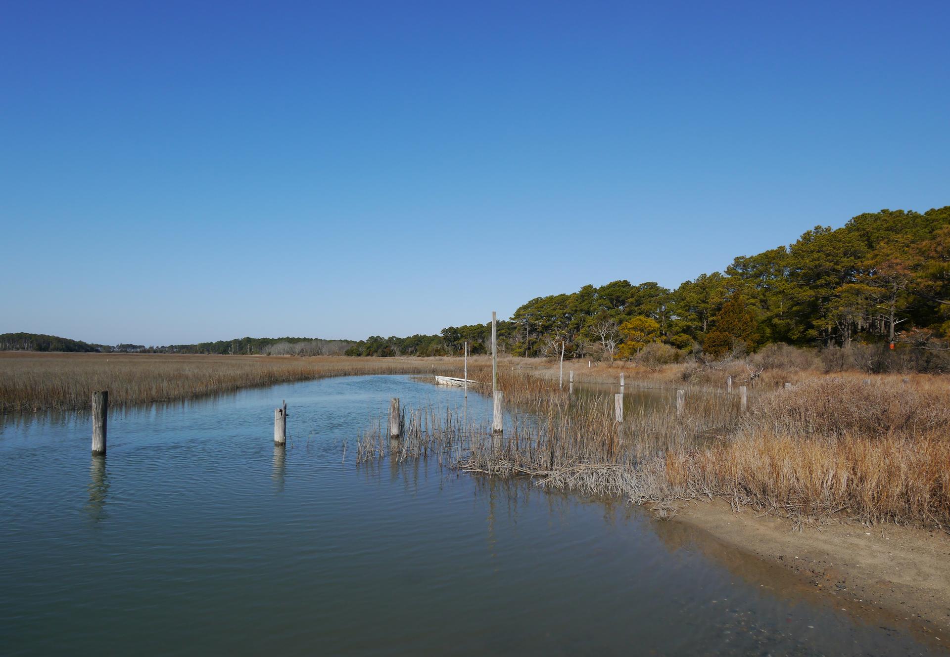 Calm waterway flowing through marshland with distant trees under a clear blue sky.