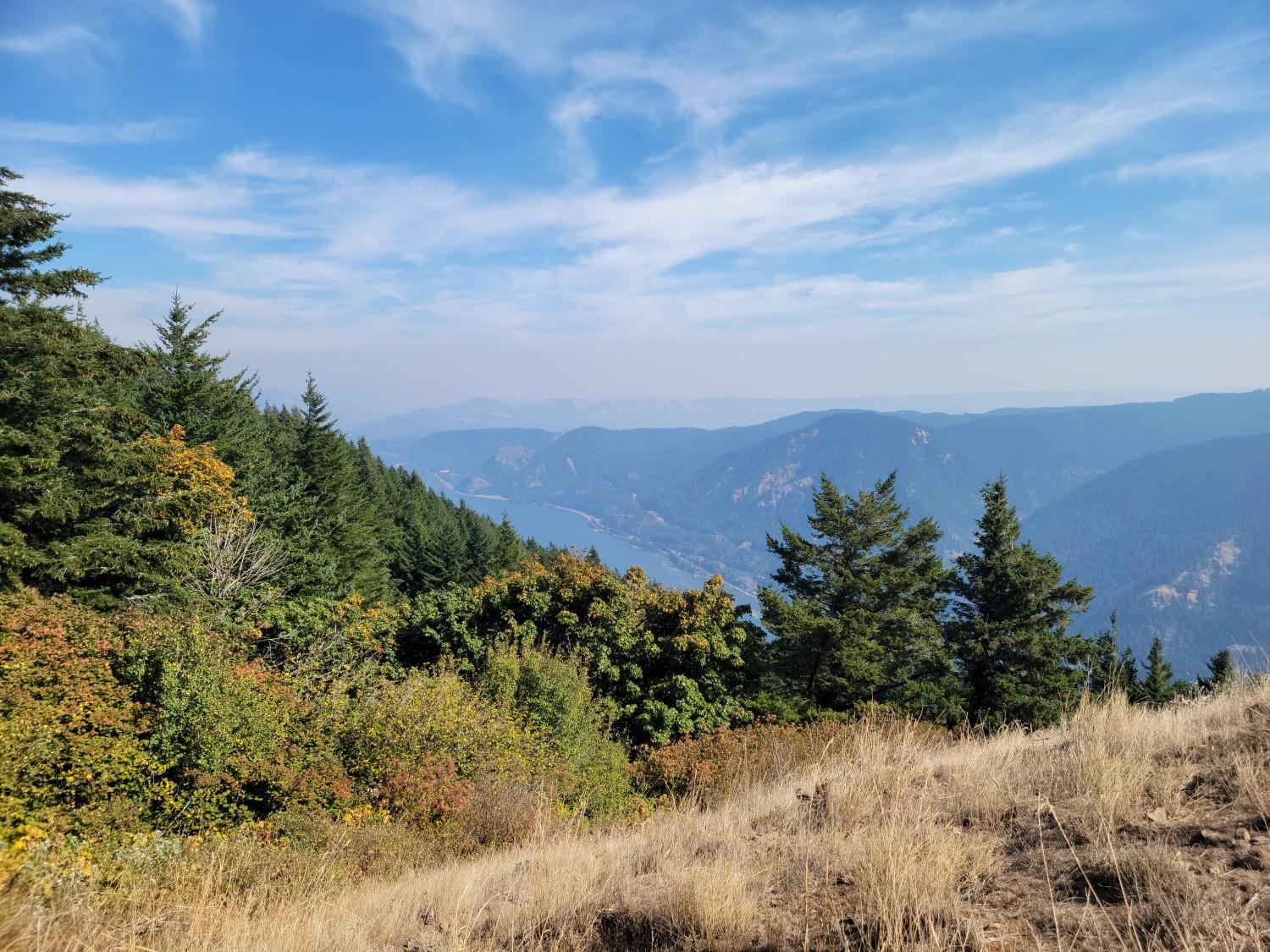 Grassy hillside and evergreen trees overlooking a hazy river valley under blue sky.