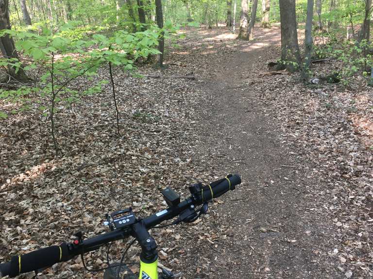Étangs de la minière Étang Braque + aire de picnic Circuit à partir