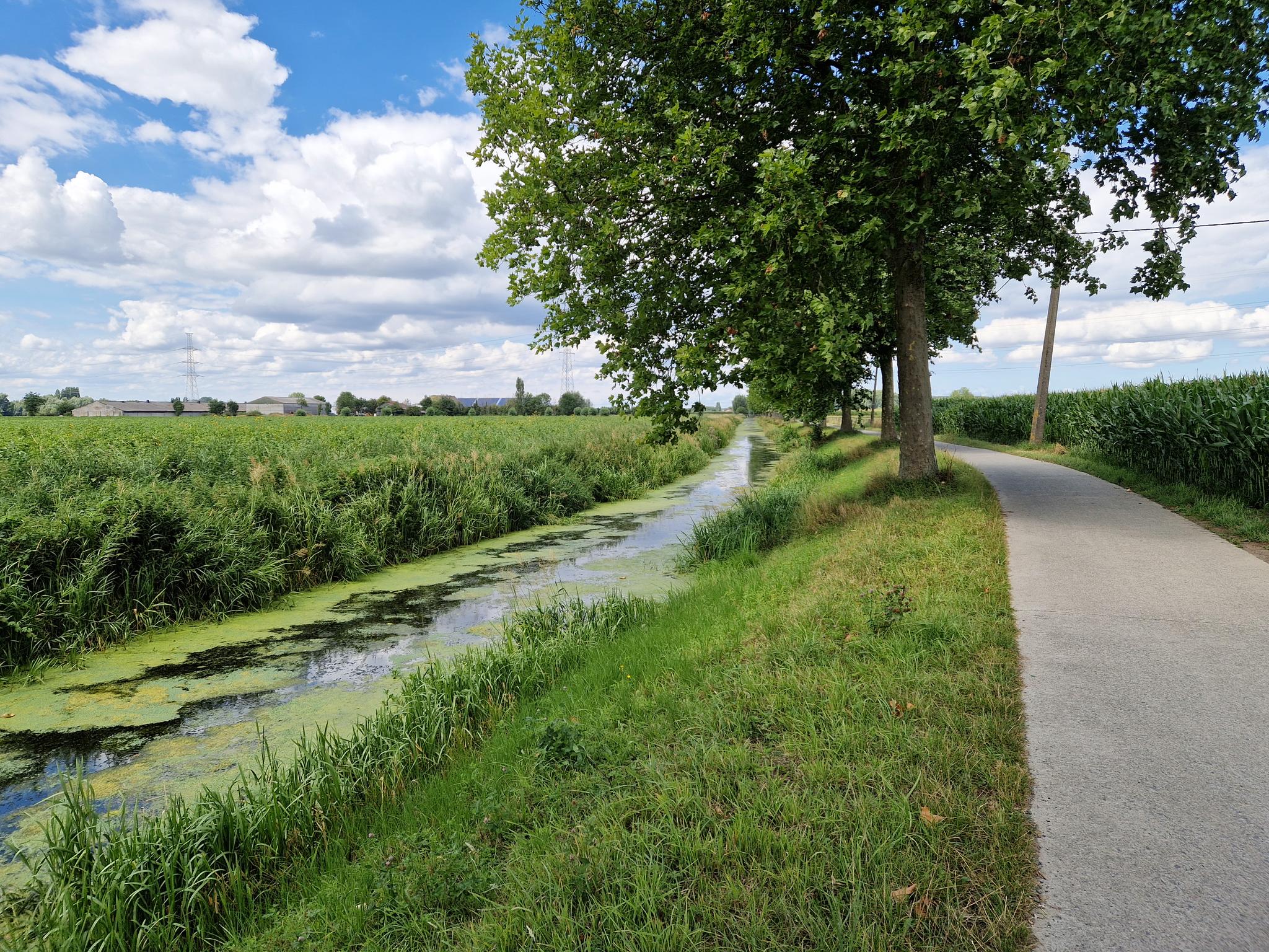 Fietspad Langs De Lieve - Fietsroutes En Kaart | Komoot