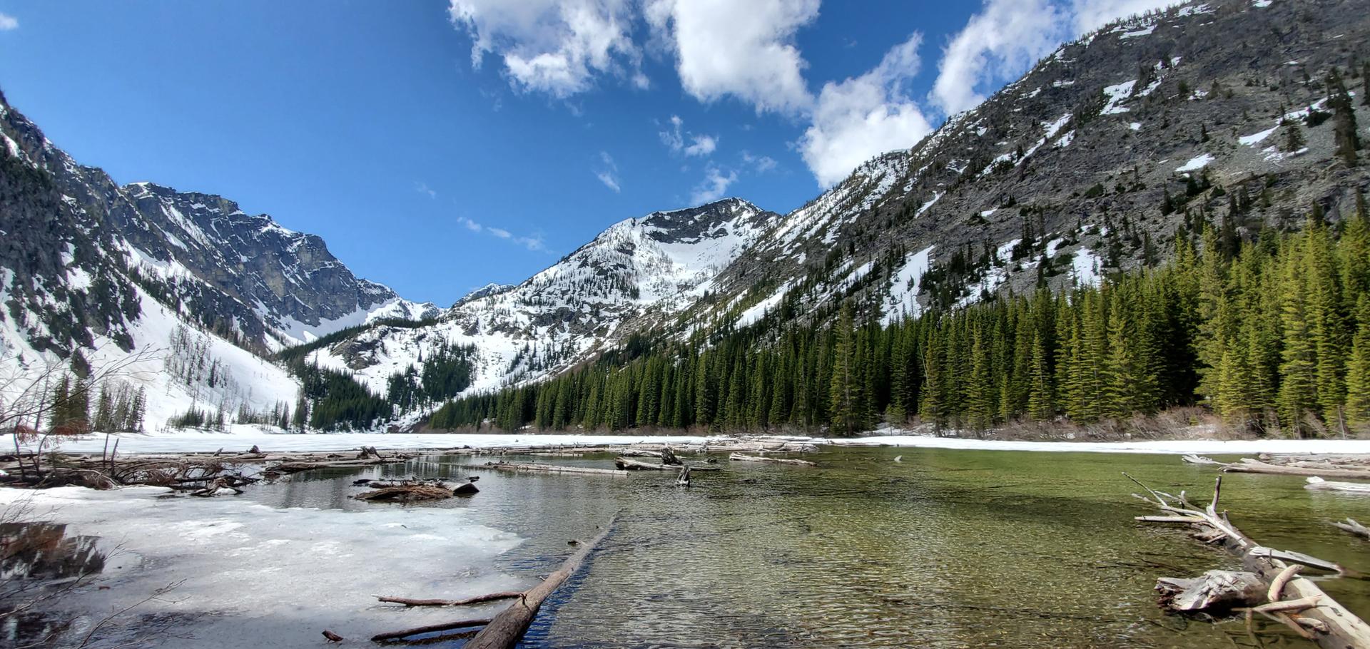 Icy lake with logs, snow-covered mountains, and pine forest under a bright blue sky.