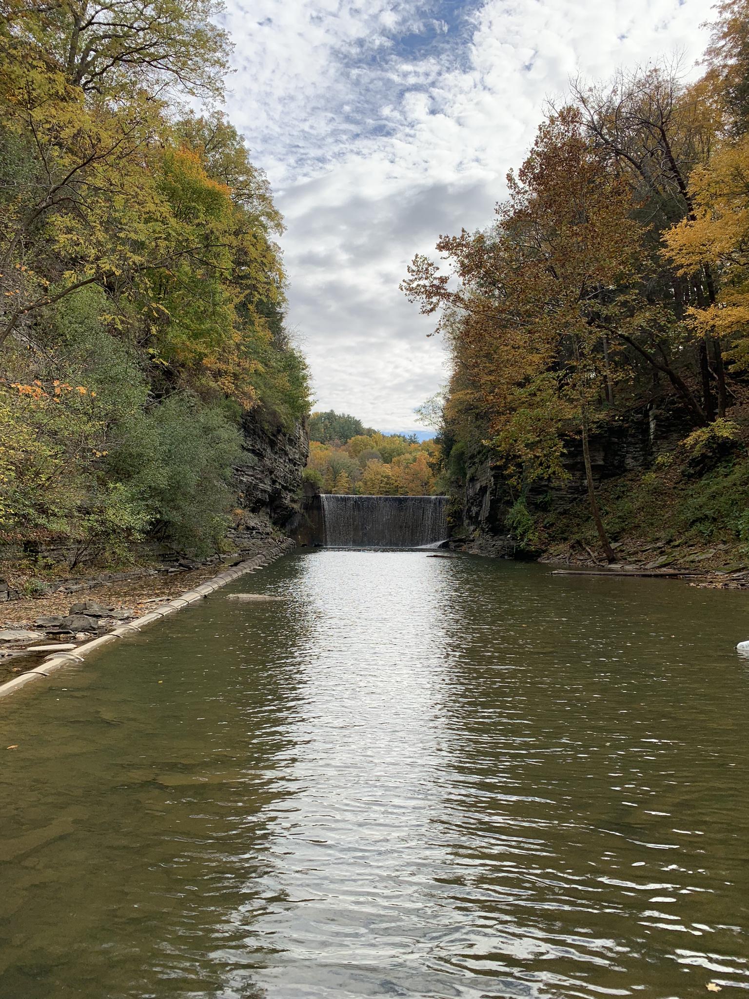 Overcast view of a river flowing towards a dam, flanked by autumn trees.