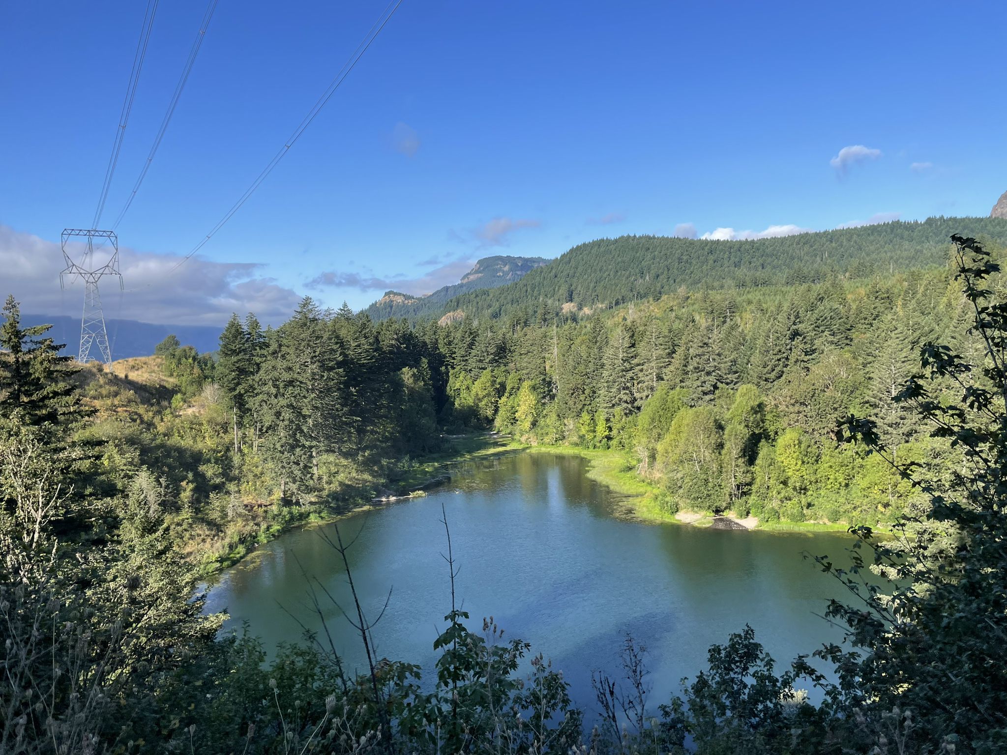 Bright blue lake surrounded by green forest under a clear sky. - Gillette Lake via Pacific Crest Trail
