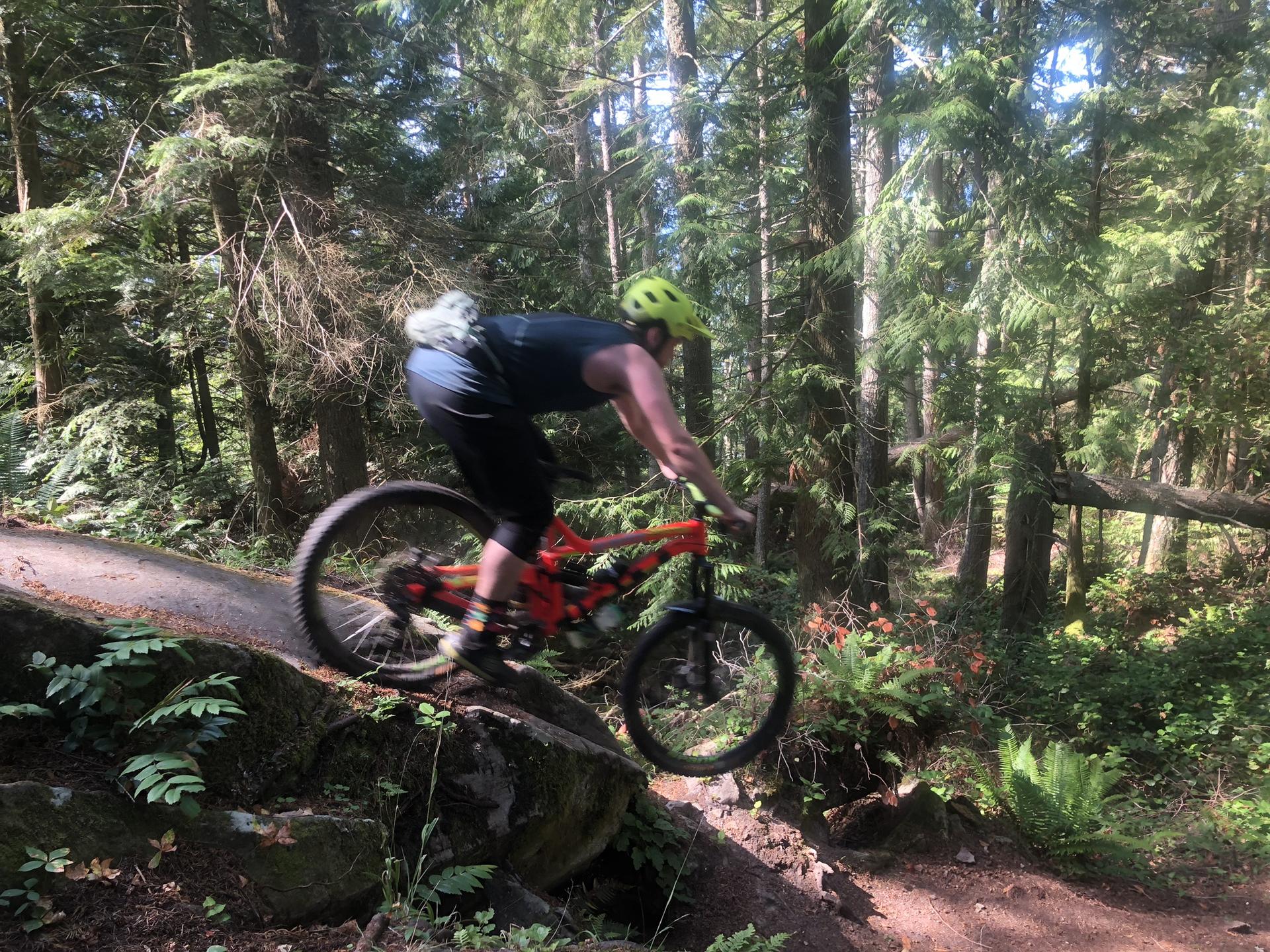 Mountain biker in a helmet rides over a log on a sunny forest trail.
