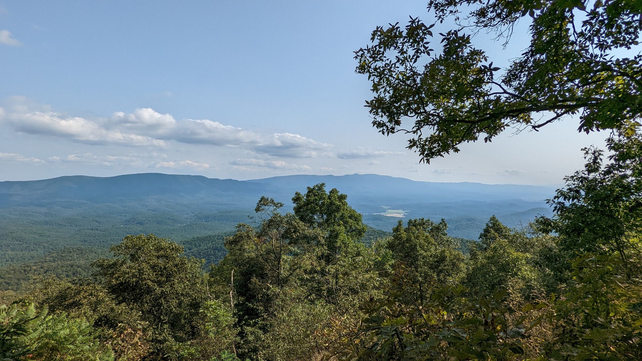 Panoramic view of rolling forested mountains under a bright, cloudy sky. - Bald Ridge Trail