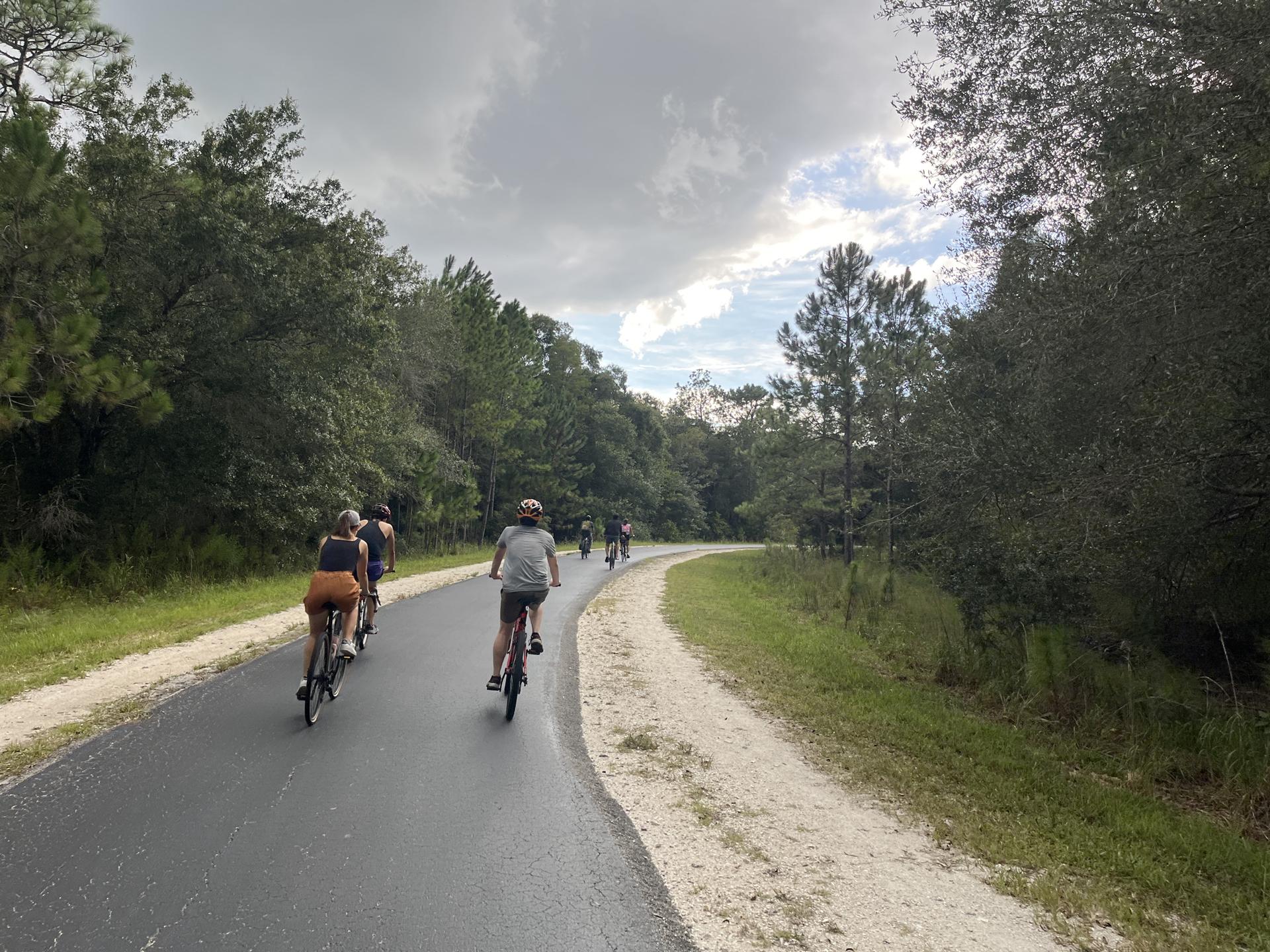 People cycling on a paved path through dense green trees under an overcast sky.