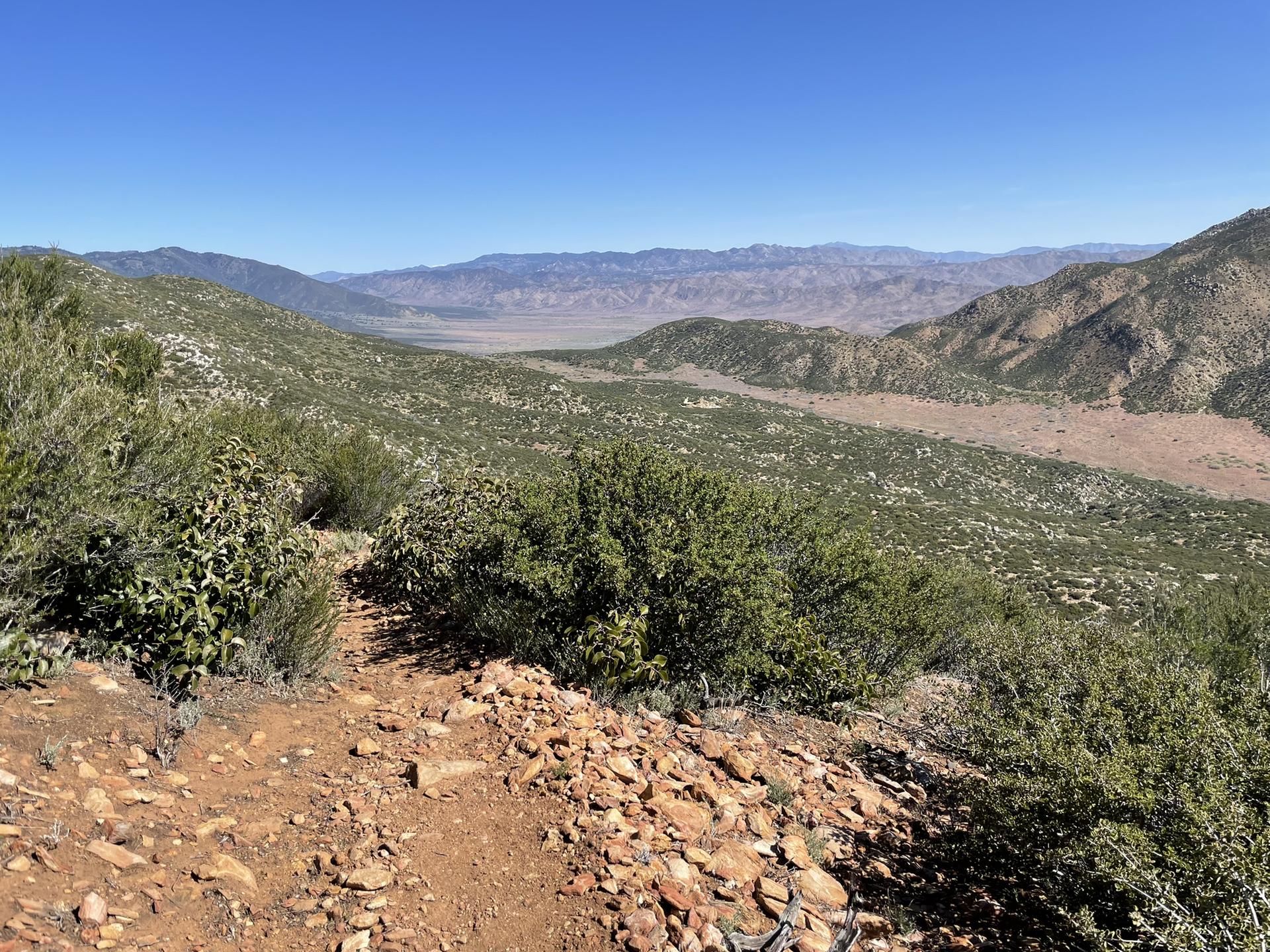 Expansive desert valley with distant mountains under a clear blue sky.