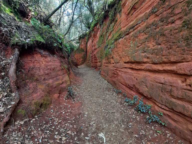 Le ravin des Sitos - Itinéraires de rando et marche | Komoot