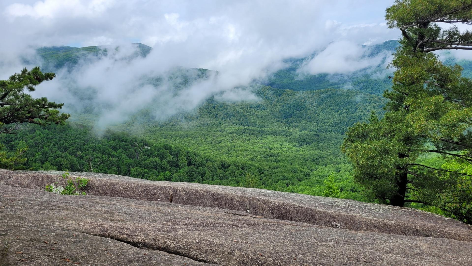 Overcast mountain view with clouds hugging green forested peaks and a large rock.