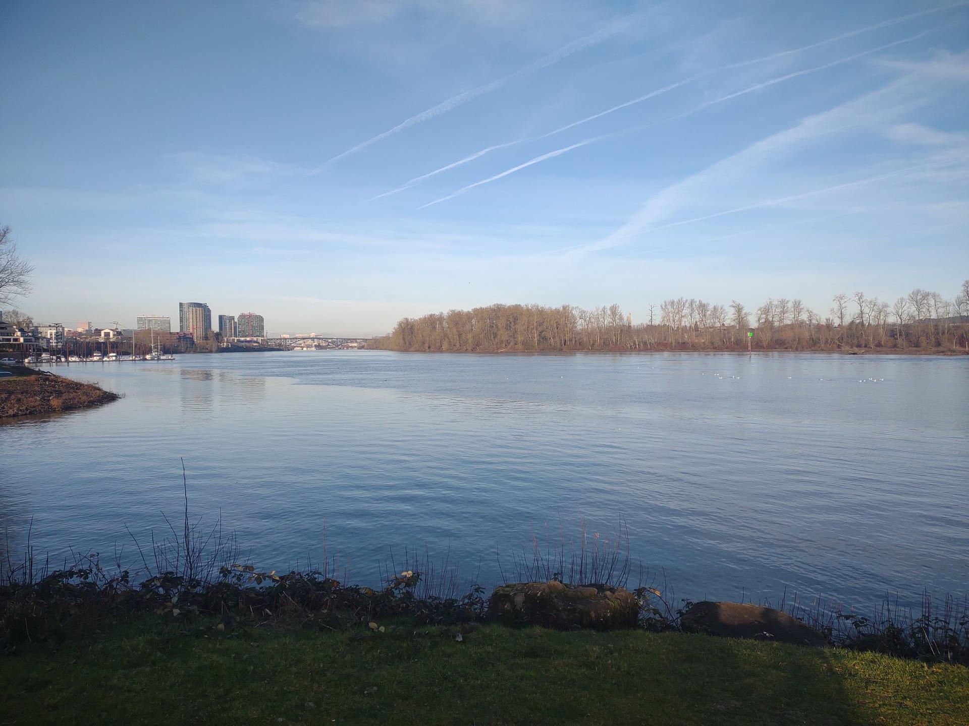 Wide river under a bright blue sky with distant city and trees.