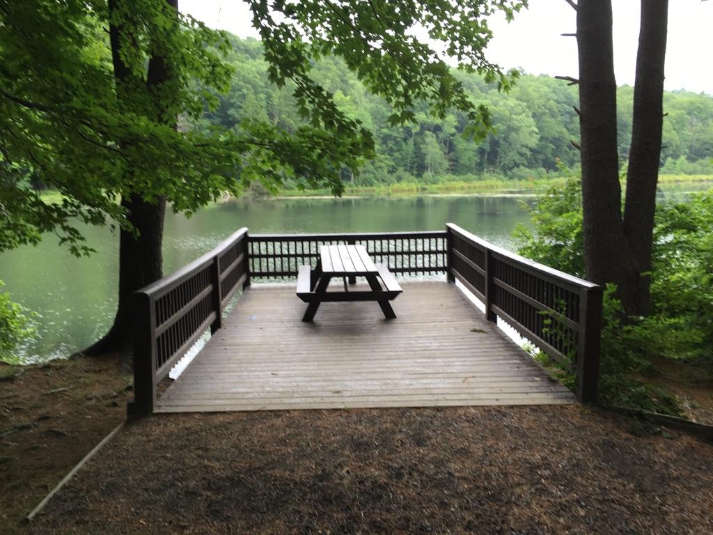 Picnic table on a wooden deck by a serene lake, surrounded by lush green trees.