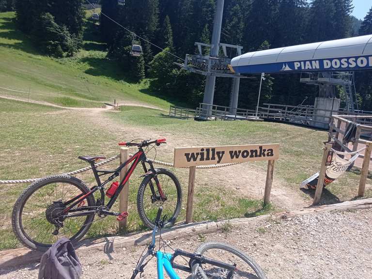 Willy Wonka - Mountain Bike Trails & Tracks | Komoot