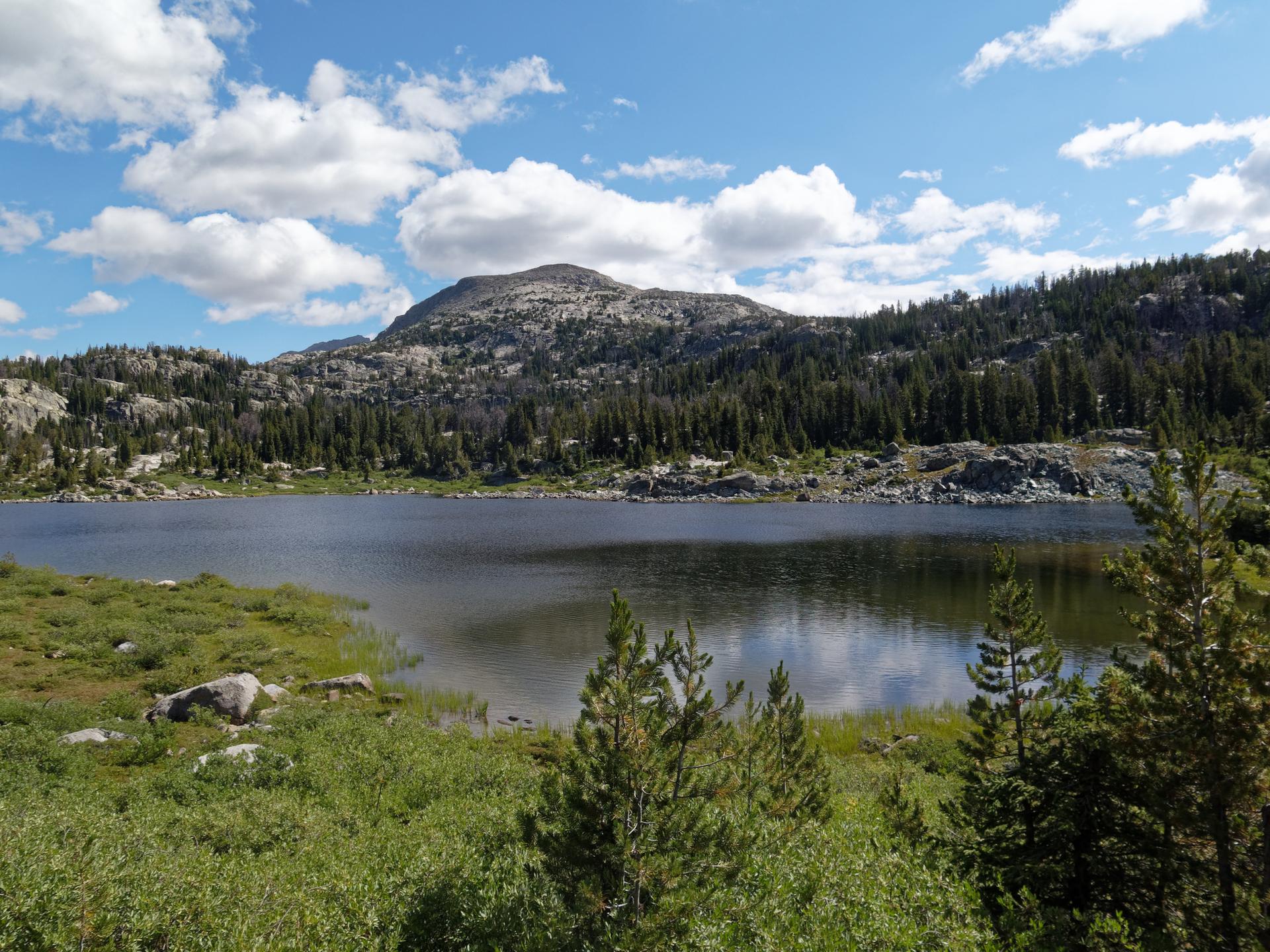 Calm lake reflecting clouds, surrounded by pine trees and rocky mountains.