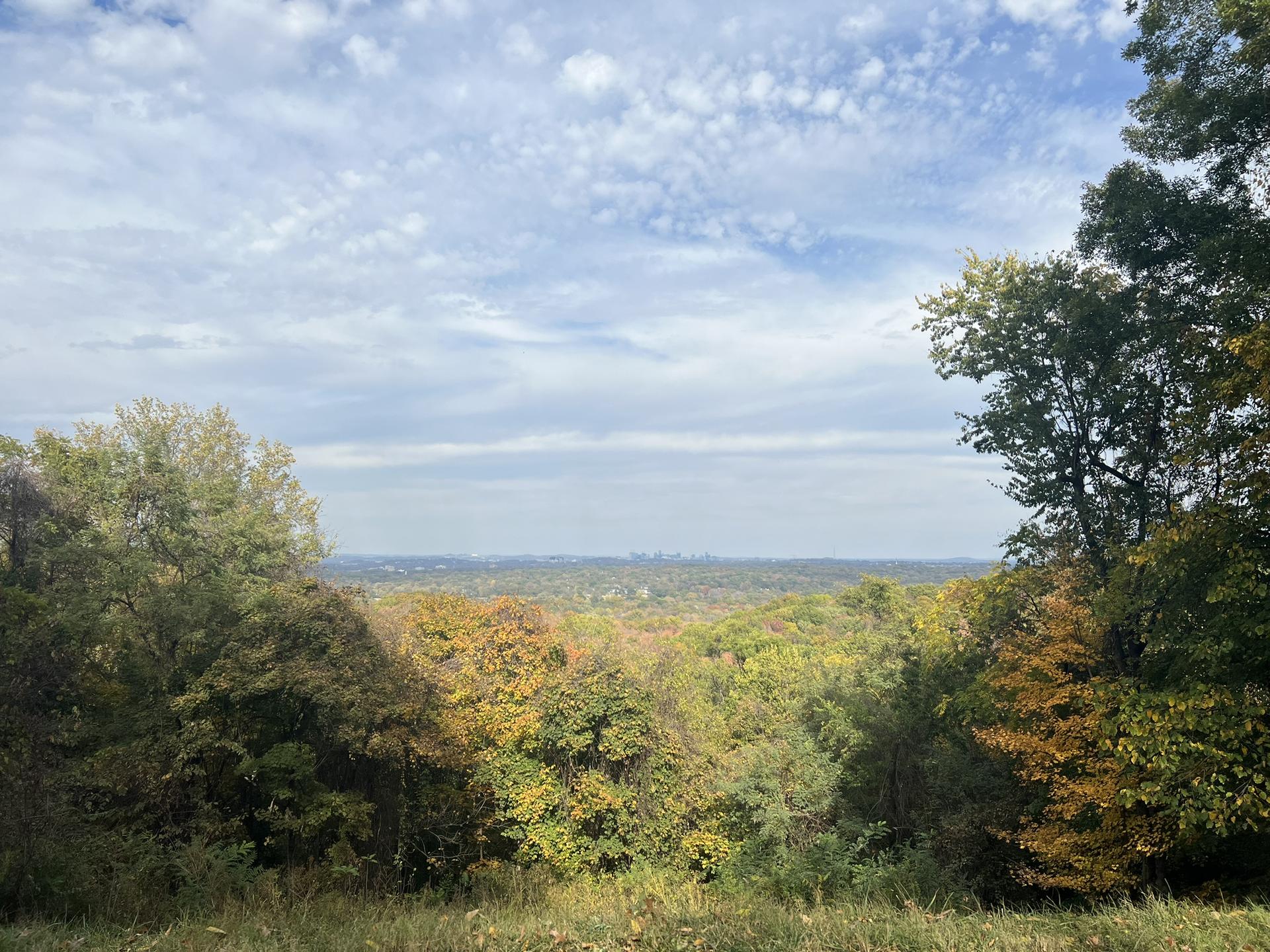 Panoramic view of a vast forest with autumn colors under a cloudy sky.