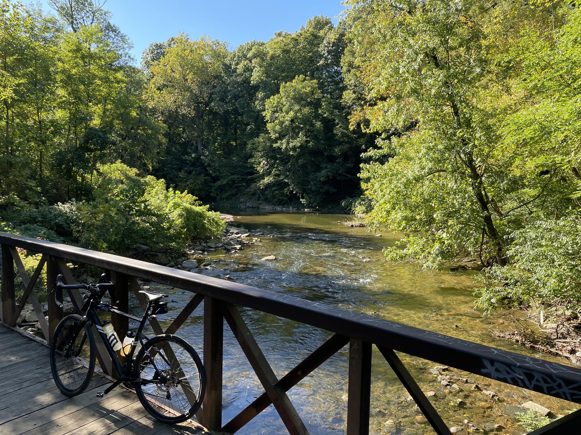 Bicycle on wooden bridge over rocky stream, lush green trees, sunny.