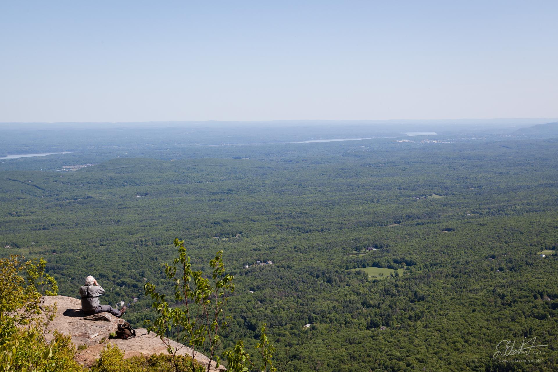 Person sits on a cliff overlooking a vast green forest under clear sunny skies.