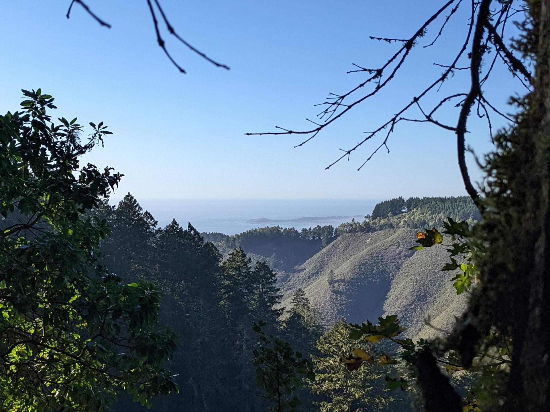 View through tree branches of forested valley leading to distant ocean.