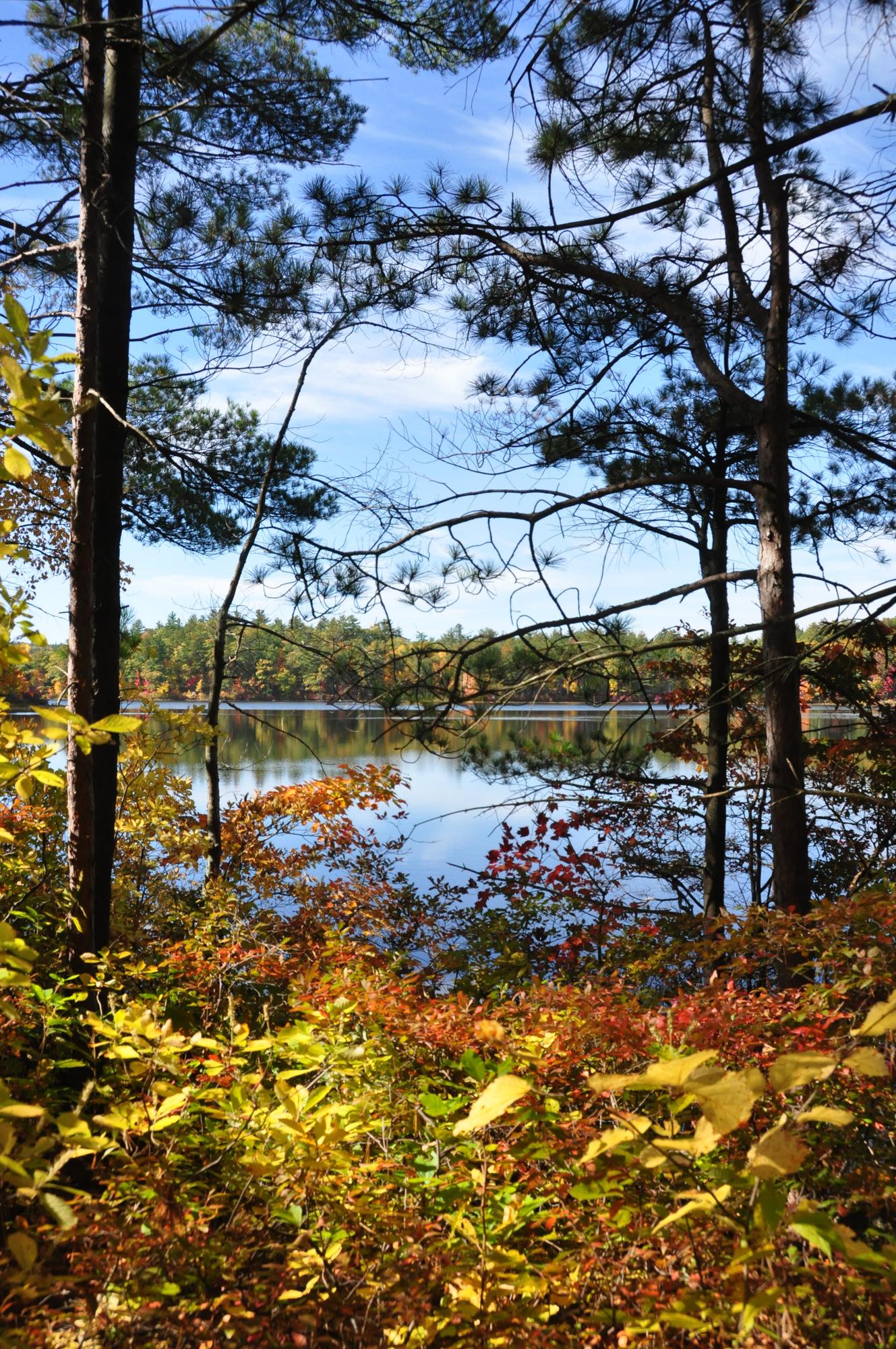 Forested lake with colorful autumn foliage under a bright blue sky.
