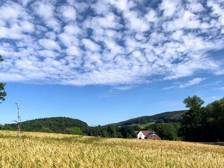 Blick vom Jakobsberg Wanderungen und Rundwege komoot