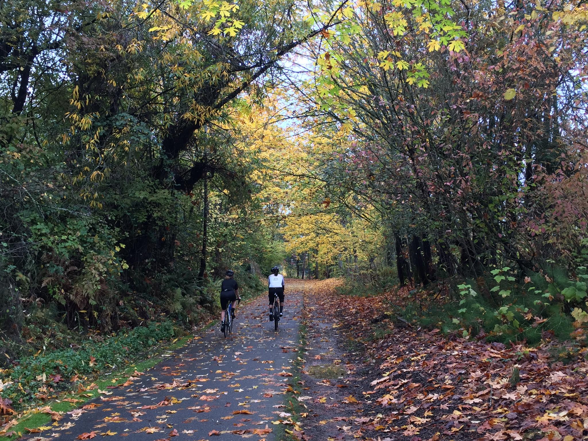 Two cyclists on a leaf-strewn path under an arch of autumn trees.