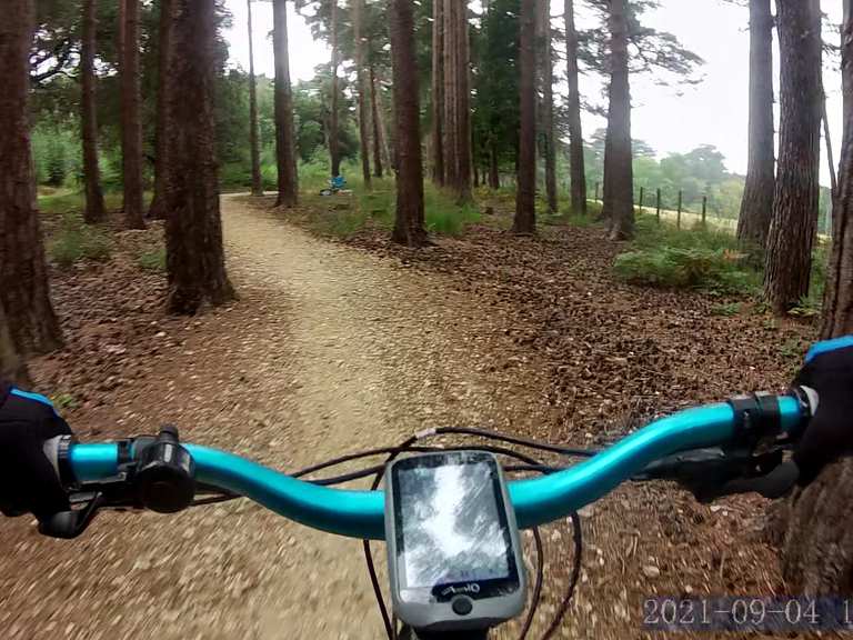 Avon Tyrrell loop from Burley — New Forest National Park mountain