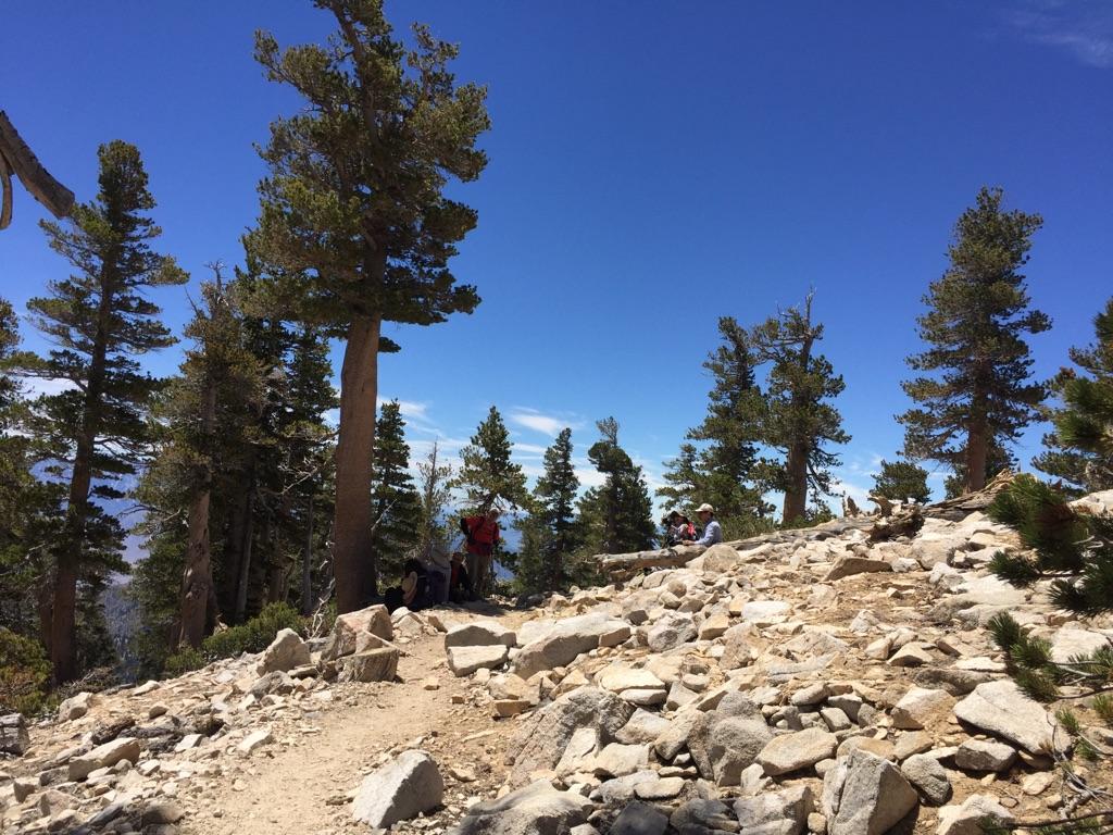 Hikers on a rocky, treed mountain slope under a clear blue sky.