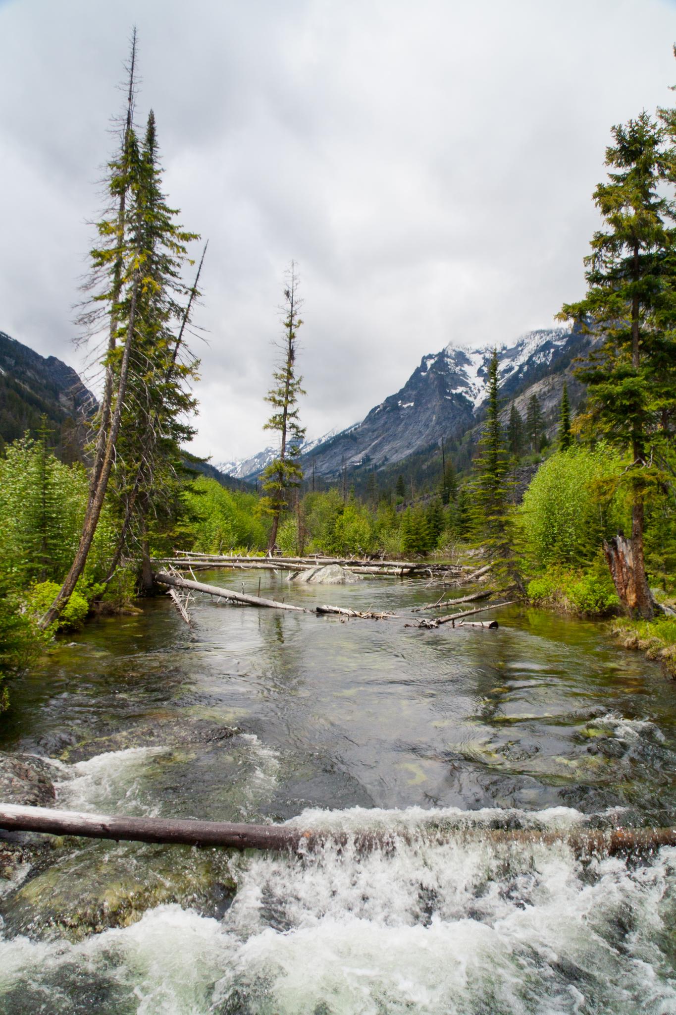 A river flows through a forested valley with snow-capped mountains under a cloudy sky.