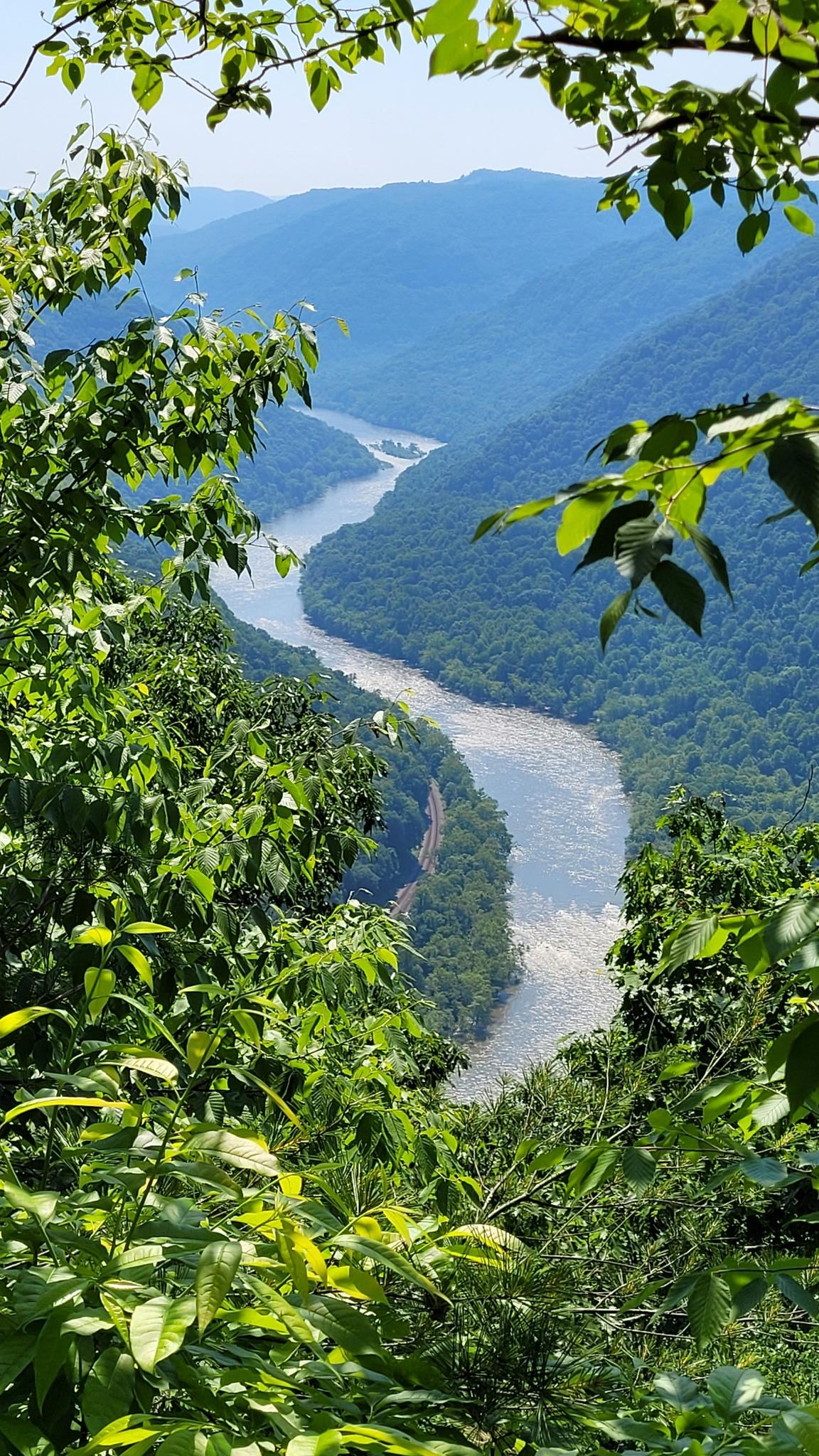 A winding river flows through a lush green, tree-covered mountain valley.