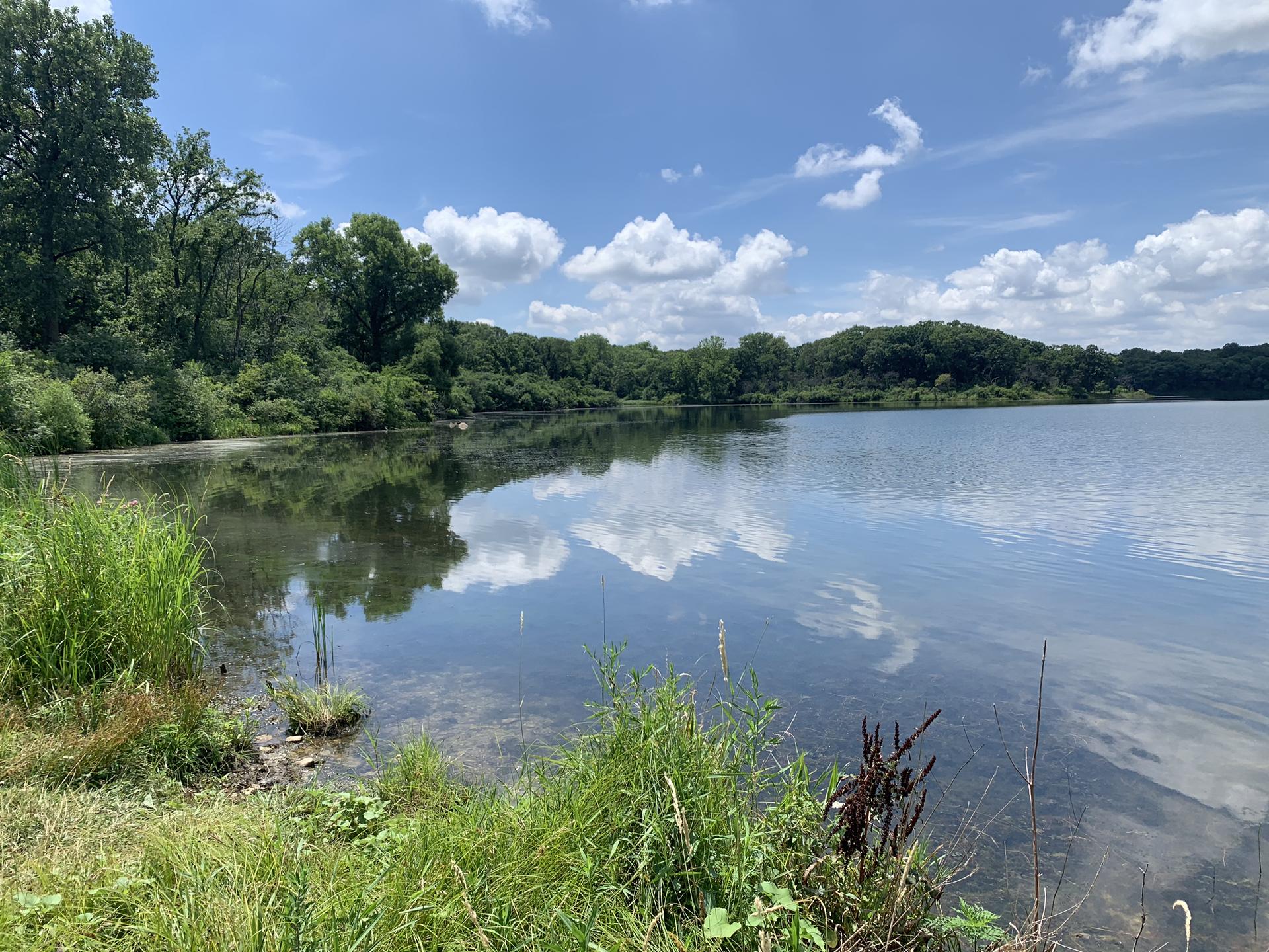 Calm lake reflecting clouds, surrounded by lush green trees.