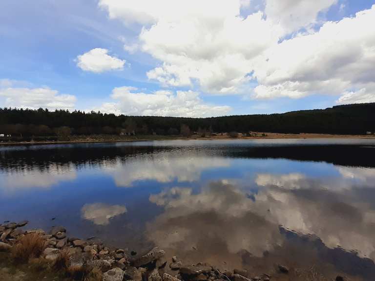 Étang de Barrandon Wanderungen und Rundwege komoot