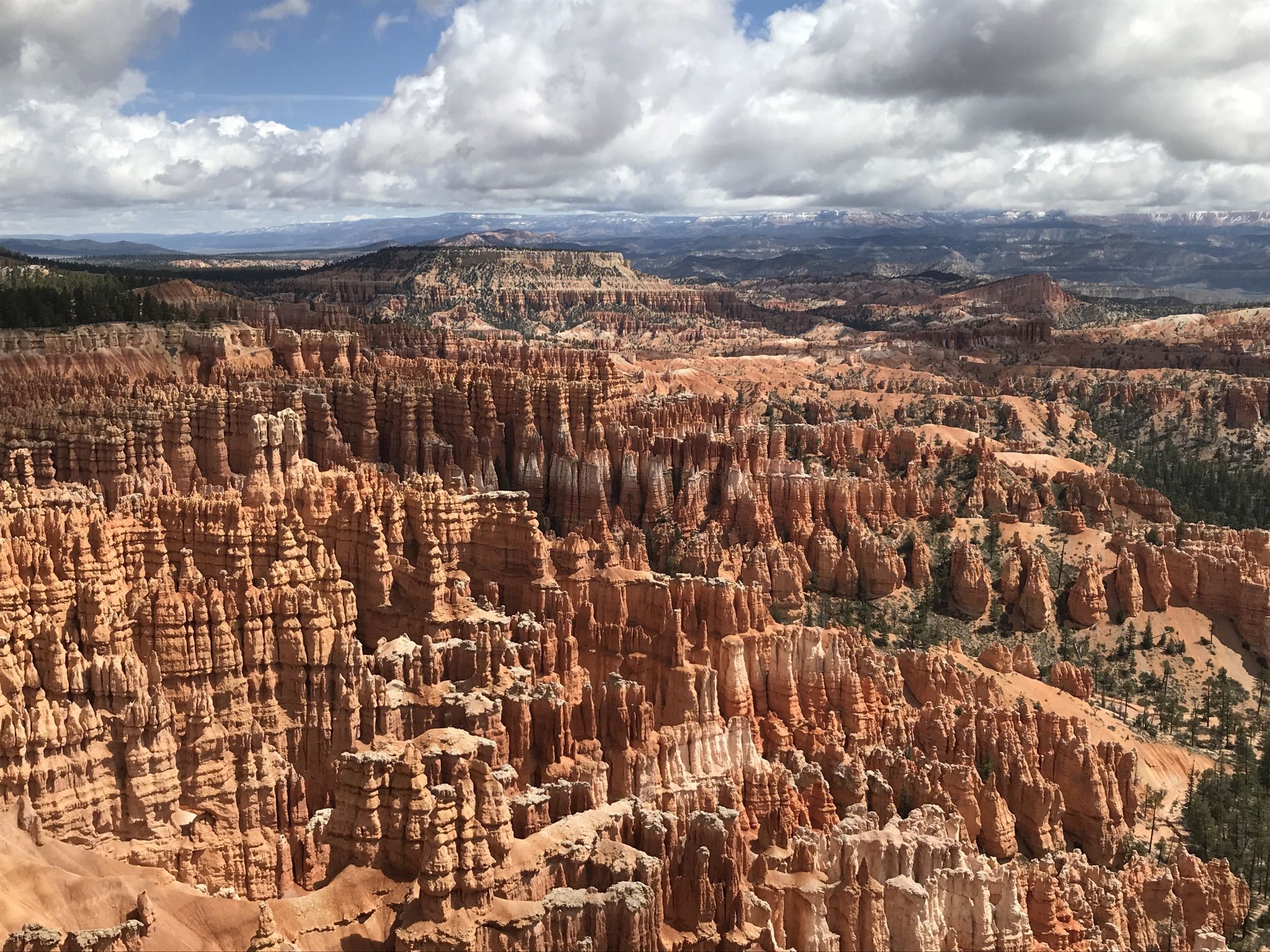 Deep canyon filled with countless orange hoodoos under a partly cloudy sky. - Lower, Mid, and Upper Inspiration Points