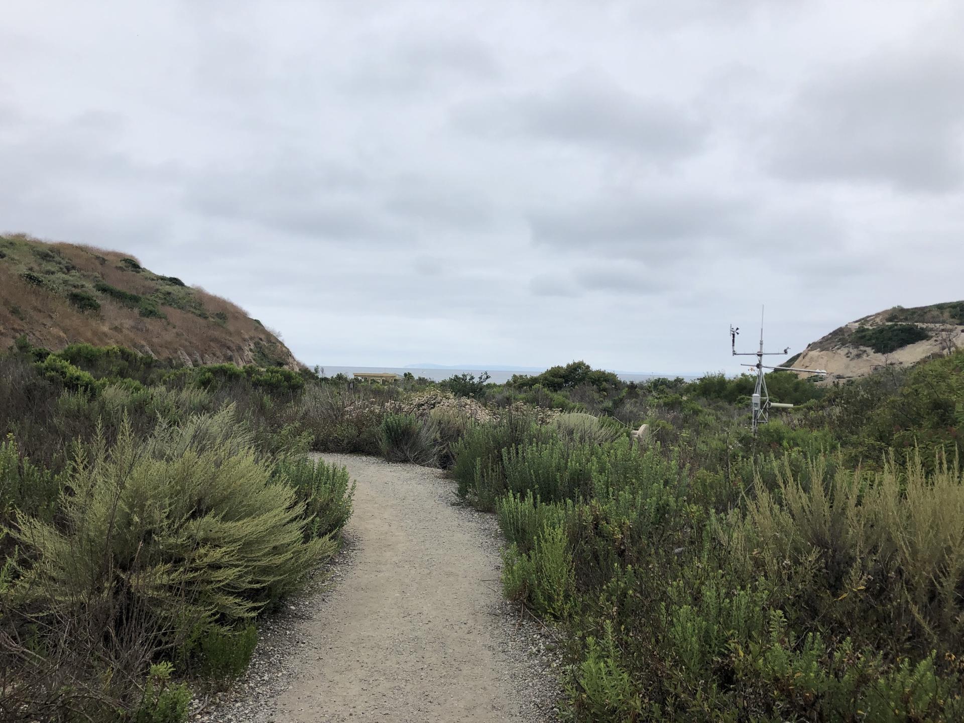 A dirt path winds through coastal hills under an overcast sky, leading to the ocean.