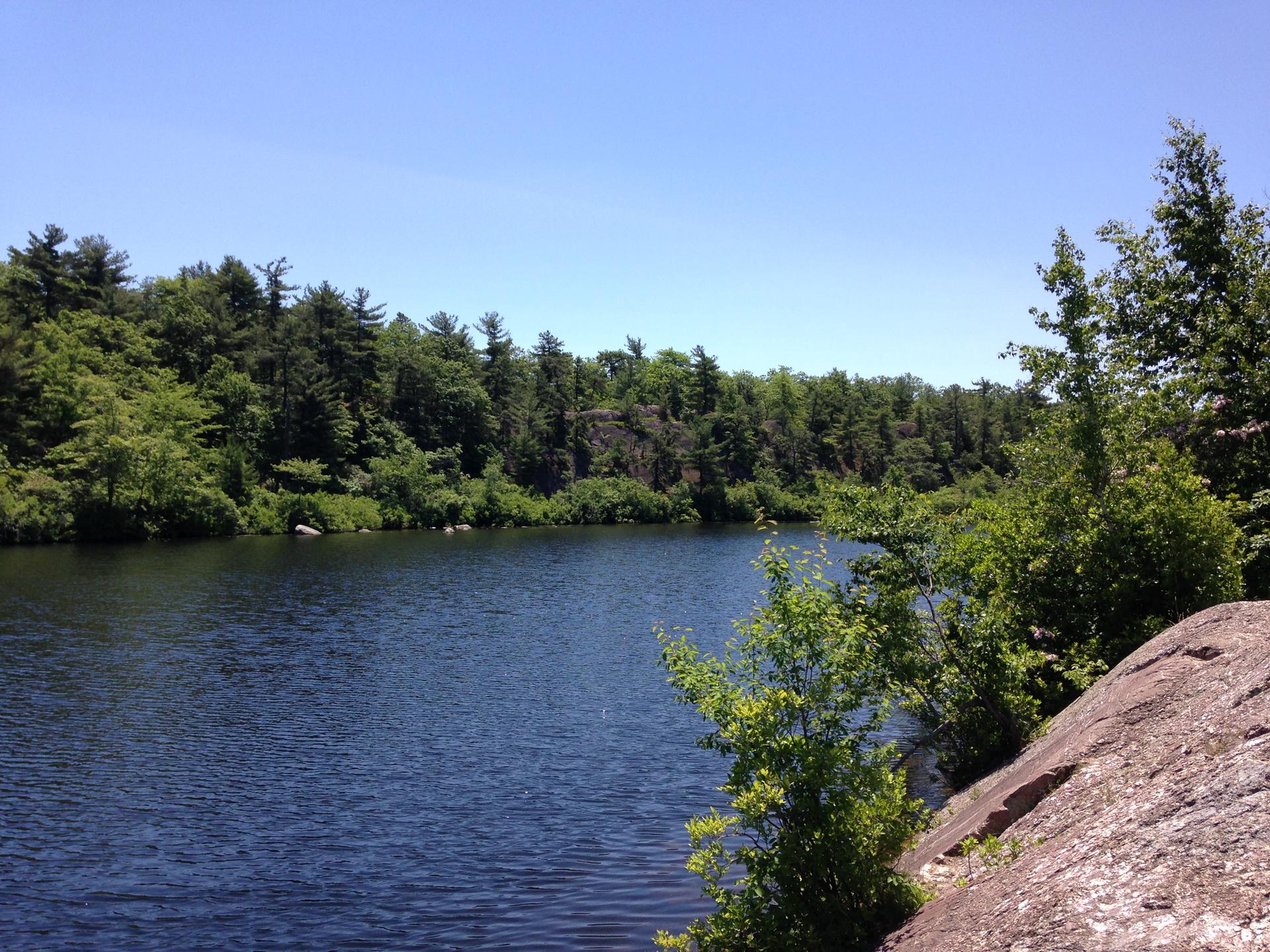 Calm lake surrounded by dense green forest under a bright sunny sky.