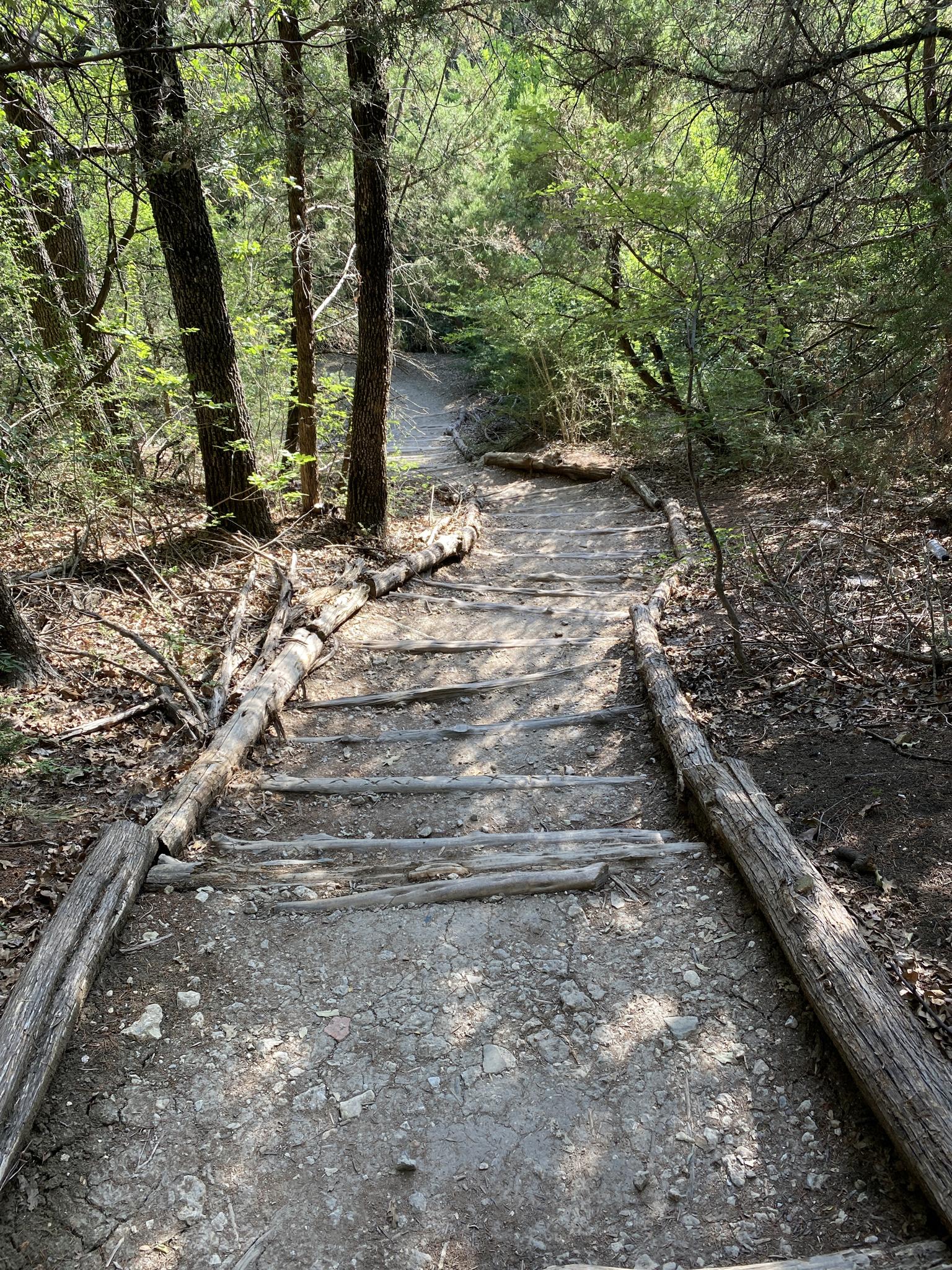 Wooden steps on a dirt path winding uphill through a sun-dappled forest.