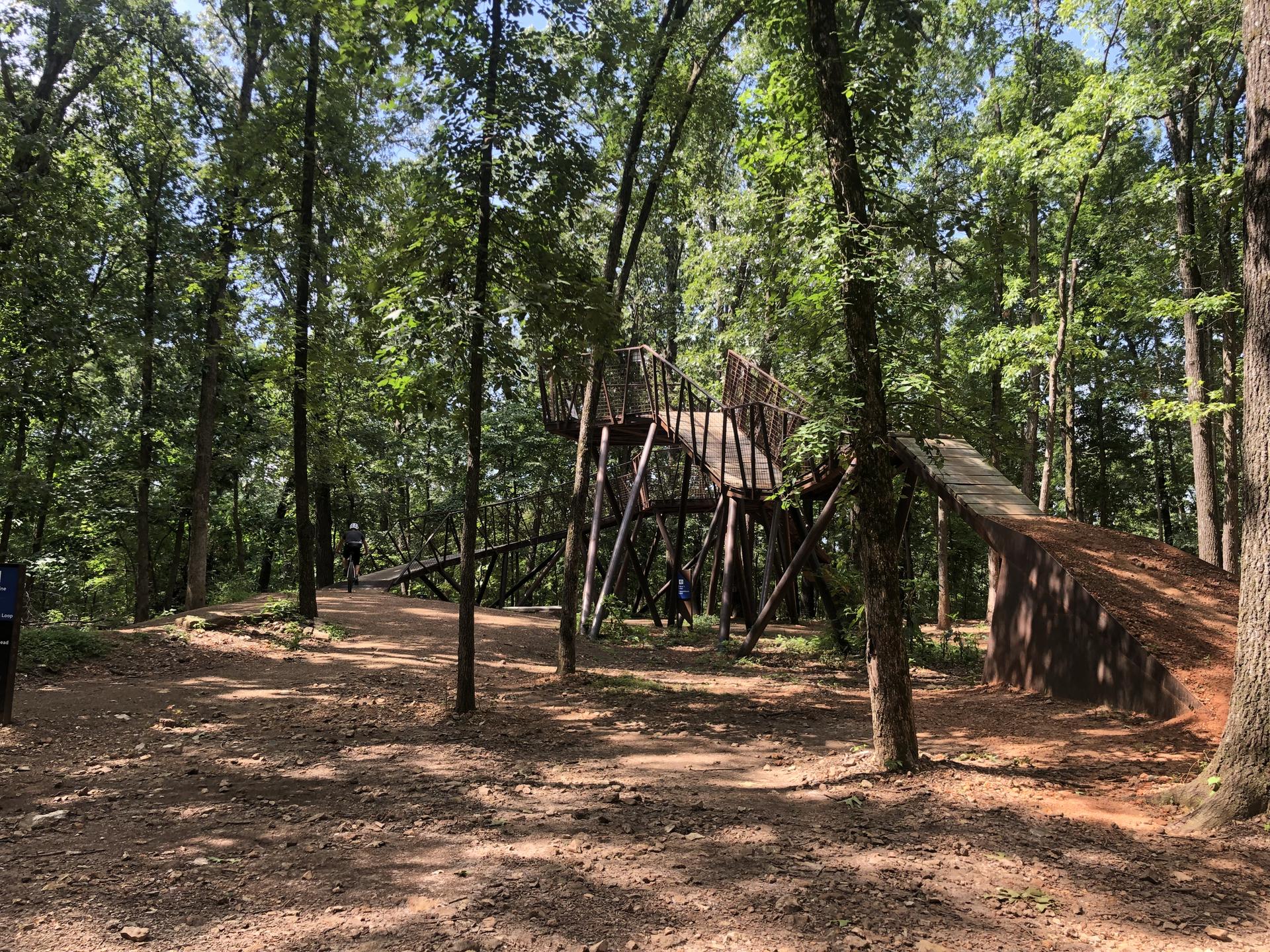 Wooden bike ramps and structures in a sunny, green forest with a cyclist.