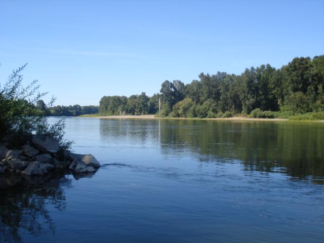 A wide, calm river with dense green trees on the far bank.