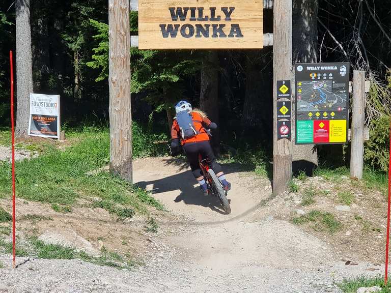 Trail „Willy Wonka