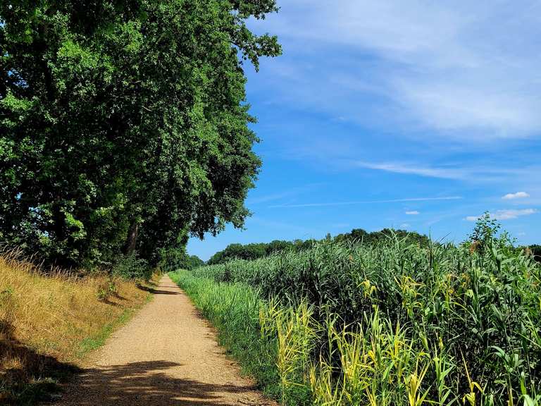 Radweg am Elbe-Lübeck-Kanal: Radtouren und Radwege | komoot