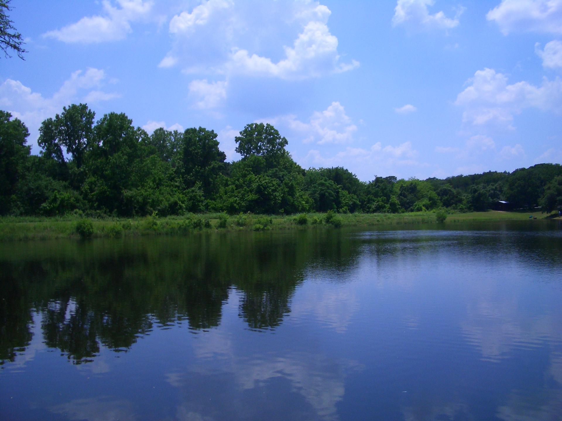 Calm lake reflecting green trees and a blue sky with white clouds.
