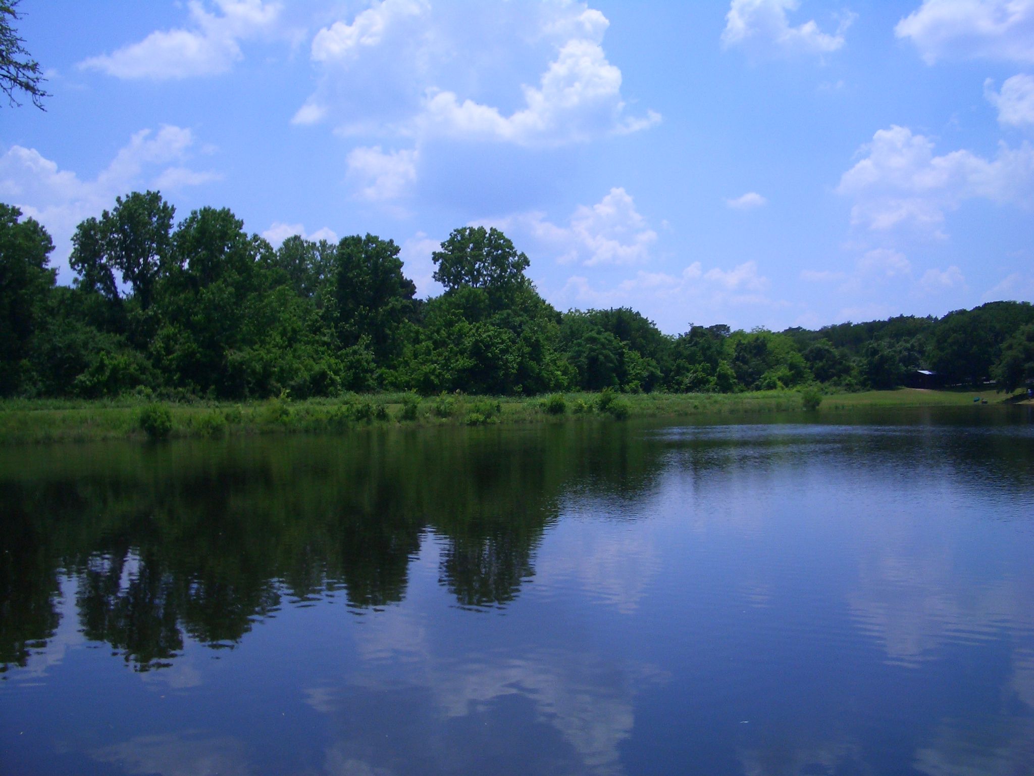 Calm lake reflecting green trees and a blue sky with white clouds. - Pine Gulch Loop