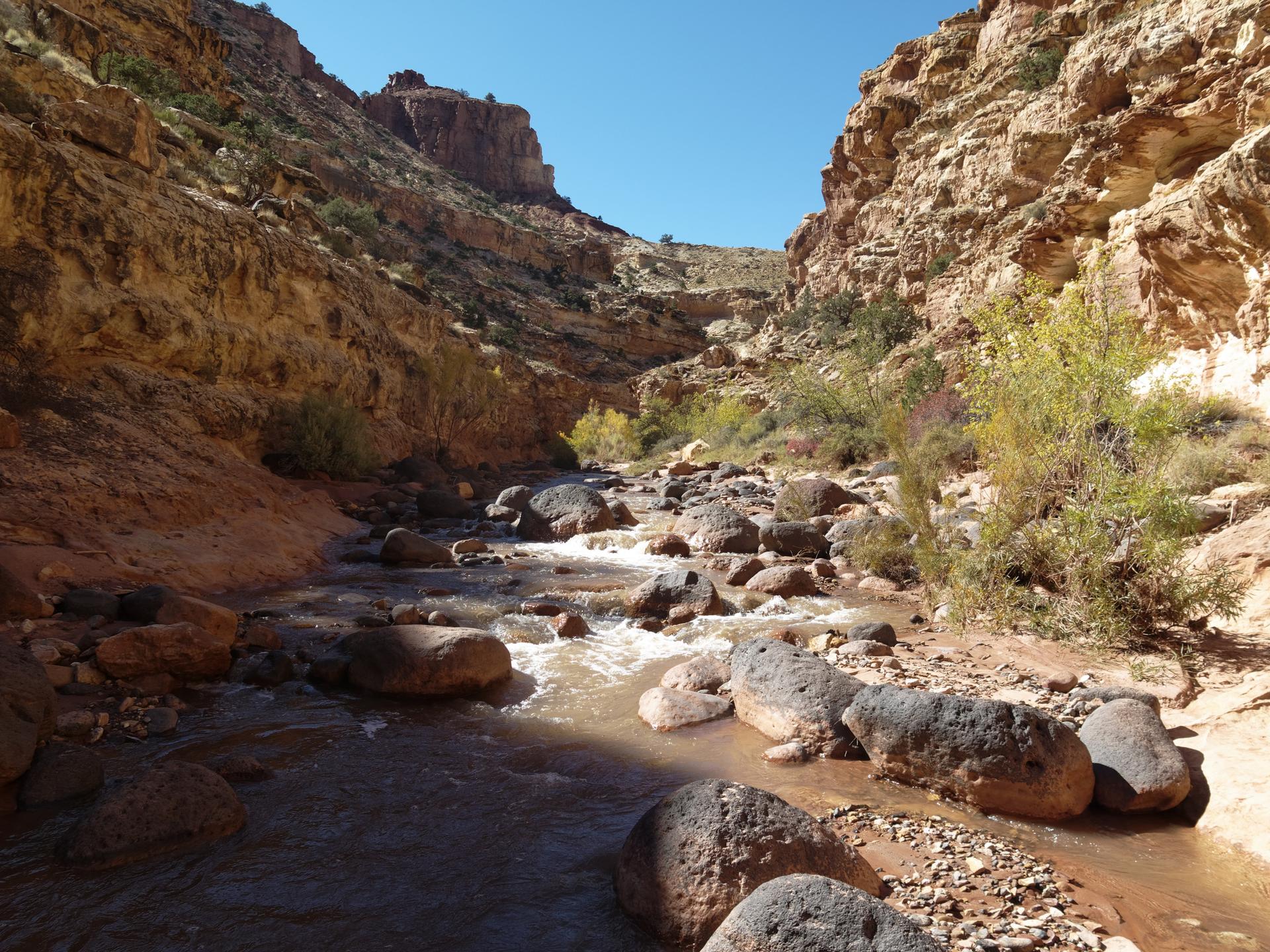 A rocky stream flows through a narrow canyon under bright sunlight.